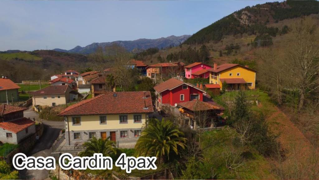 Casa Cardin Apartment Cangas de Onis Bagian luar foto